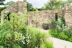 Wedgwood-show-garden-rhs