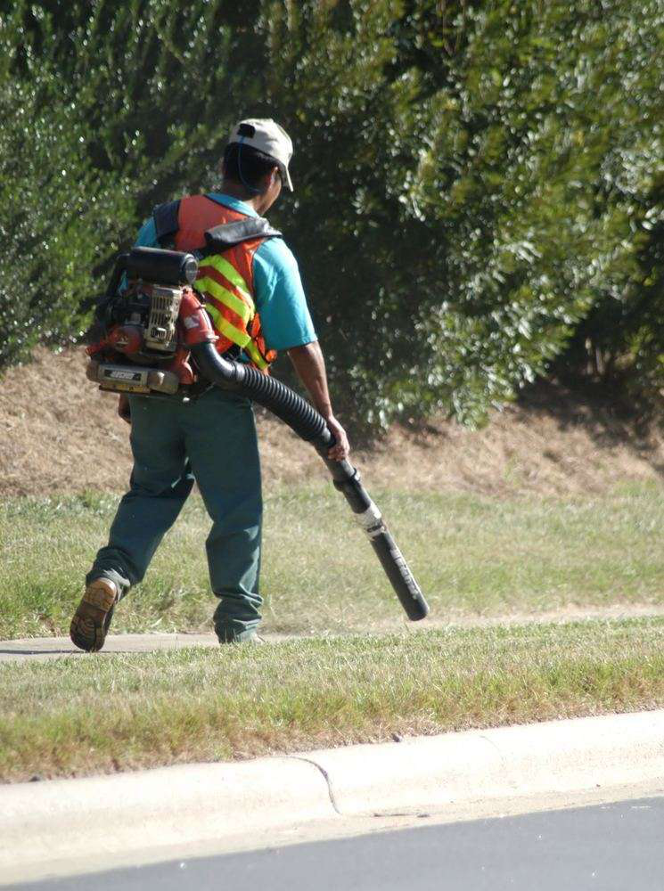 blowing-lawn-clippings