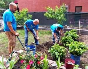 ConEd employee volunteers help plant vegetables, herbs and ornamental plants at the Neighbors of Vega Baja community garden in East Harlem, New York City. Photo: Project EverGreen