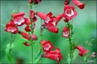 Photo: Manuel/Flickr