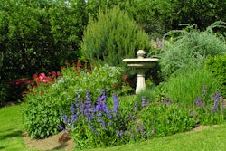 shutterstock_1428278