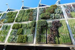 vertical-garden
