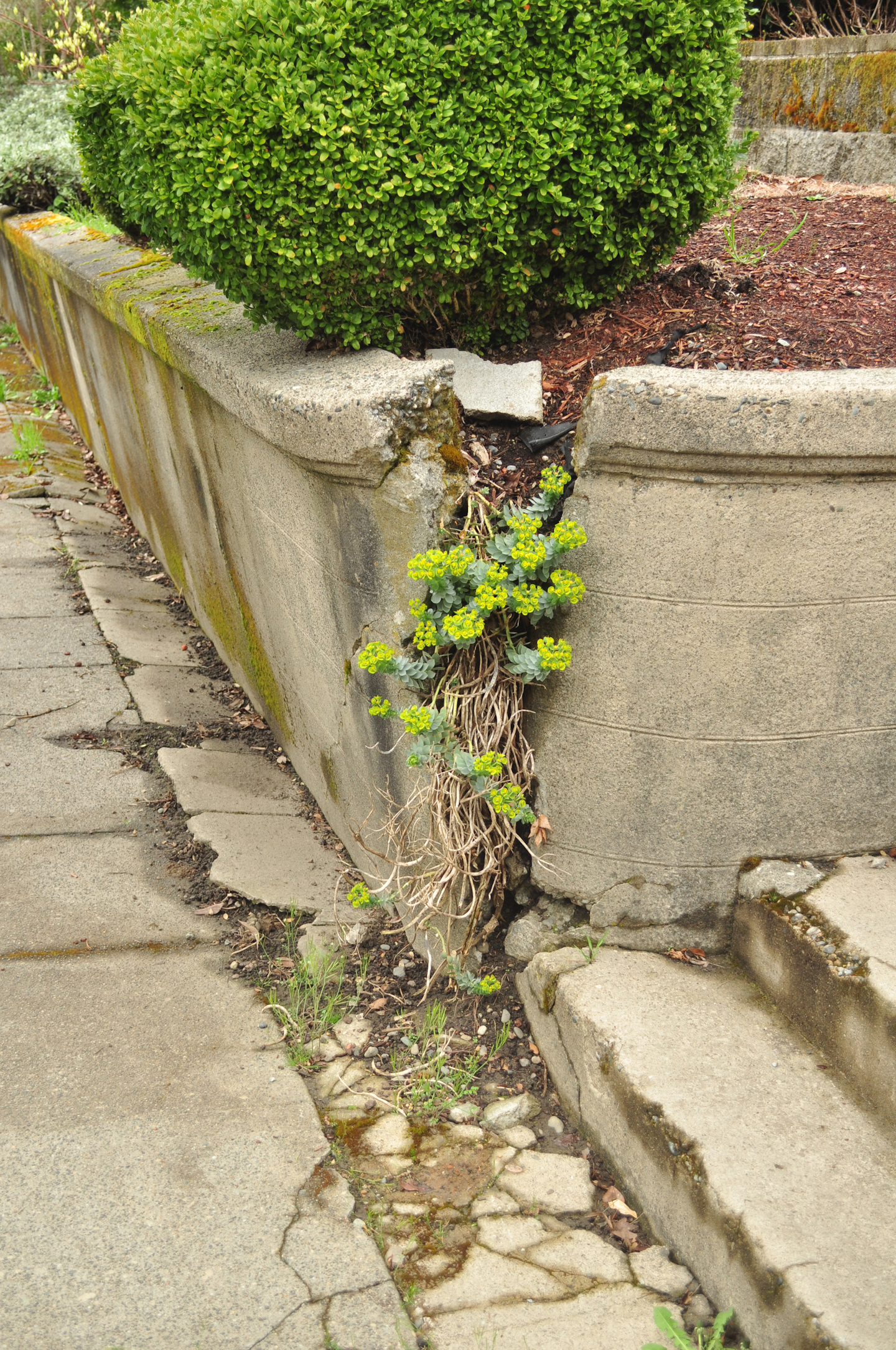 Retaining Wall Failure 101 And How To Fix The Issues Total Landscape Care
