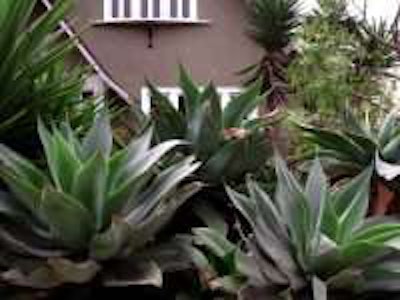 Photo: jchatoff/Flickr