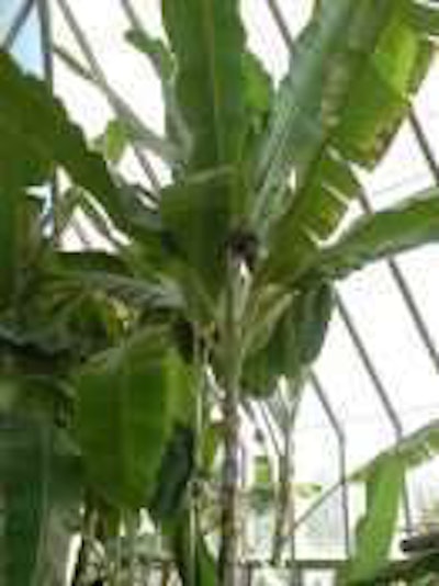 Photo: Xin Mei/Flickr