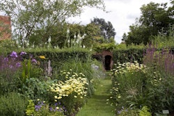 cottage_garden