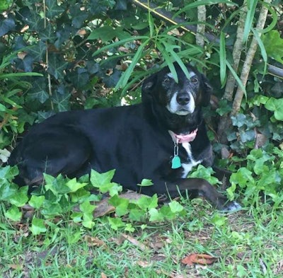 Photo: Beth Hyatt/Total Landscape Care