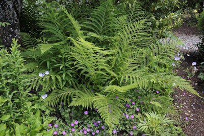 Photo: Megan Hansen/Flickr