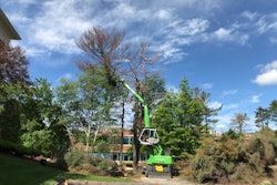 mayer-tree-service-equipment