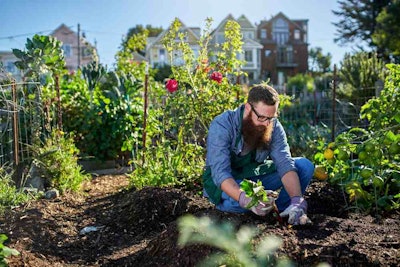 Man planting