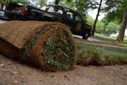 sod-roll