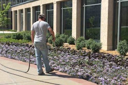 watering-plant-bed