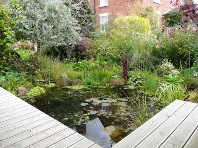 Photo: Gardenista