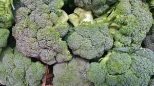 stalks og broccoli