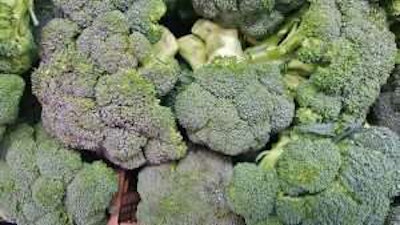 stalks og broccoli