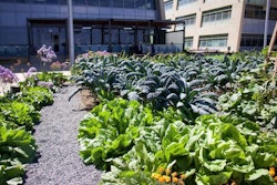 farming-garden