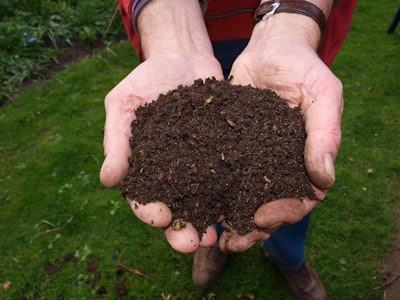 large handful of compost