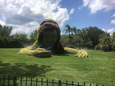 Photo: Jill Odom/Total Landscape Care