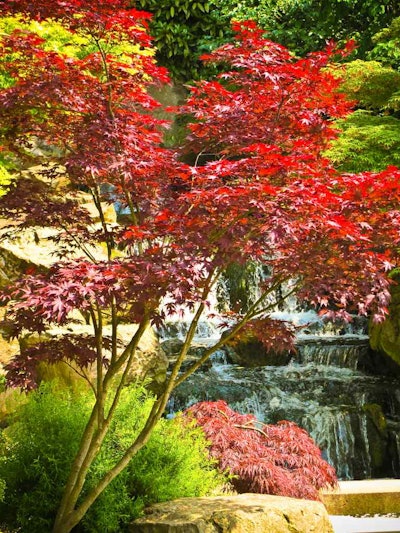 Photo: Garry Knight/Flickr