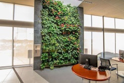 living-wall