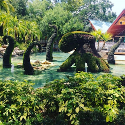 Photo: Jill Odom/Total Landscape Care