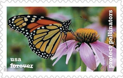 Photo: Karen Mayford