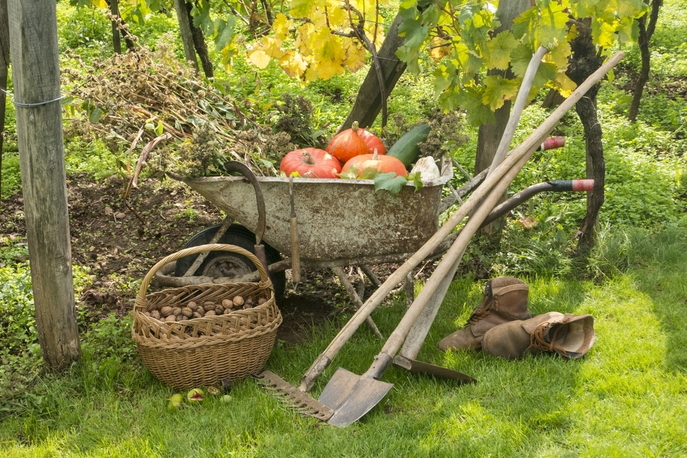 fall-gardening-tools