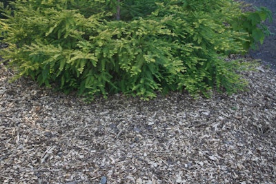 Photo: Oregon State University/Flickr