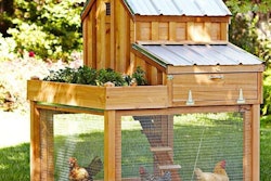wood-metal-roof-coop