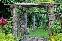 woodland-garden