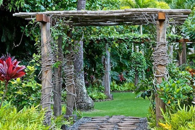 wooded garden with covered paths