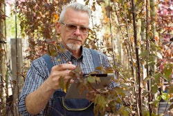 Canvas-Landscape-worker