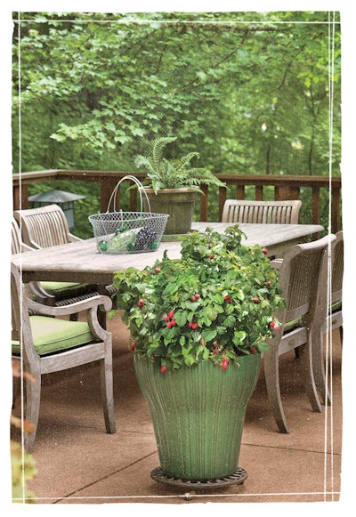 Photo: Bushel and Berry