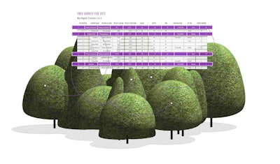 Tree survey data can be imported with ease now. Photo: Vectorworks