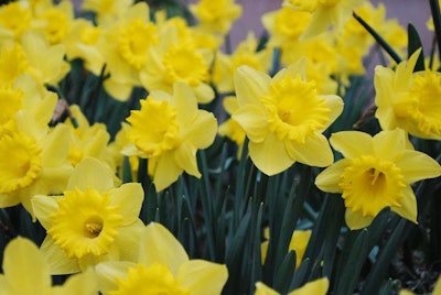 Photo: Laura LaRose/Flickr