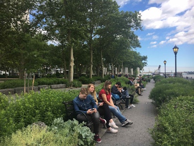 The Gardens of Remembrance can be found within The Battery on Manhattan. Photo: Jill Odom/Total Landscape Care