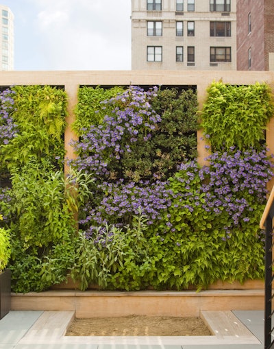 A green wall with lush plantings and edibles sits above a children’s sandbox. It won the ASLA 2011 Professional Residential Design Honor Award and was designed by Nelson Byrd Woltz Landscape Architects. Photo: Eric Piasecki