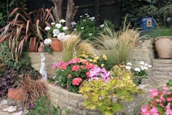 garden-flowers-stone-planters