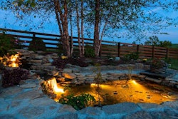 backyard-lighting-pool