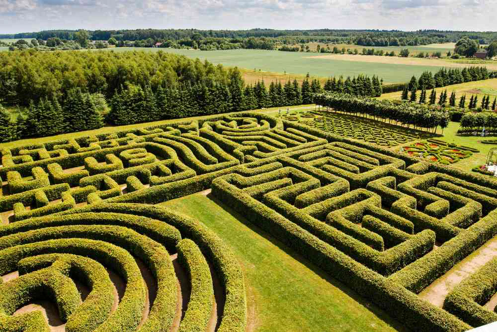 Labyrinth Base How to build a labyrinth for meditation-loving clients | Total ...