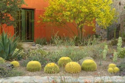 water-efficiency-D. A. Horchner : Design Workshop