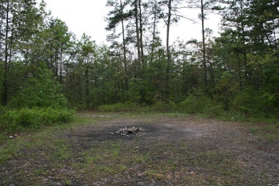 Photo: Wikipedia