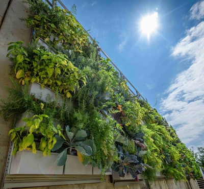 Photo: Phipps Conservatory and Botanical Gardens