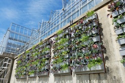 LiveWall-Phipps-Vertical-Credit-LiveWall