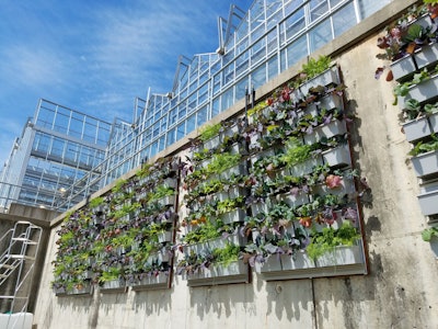Photo: LiveWall
