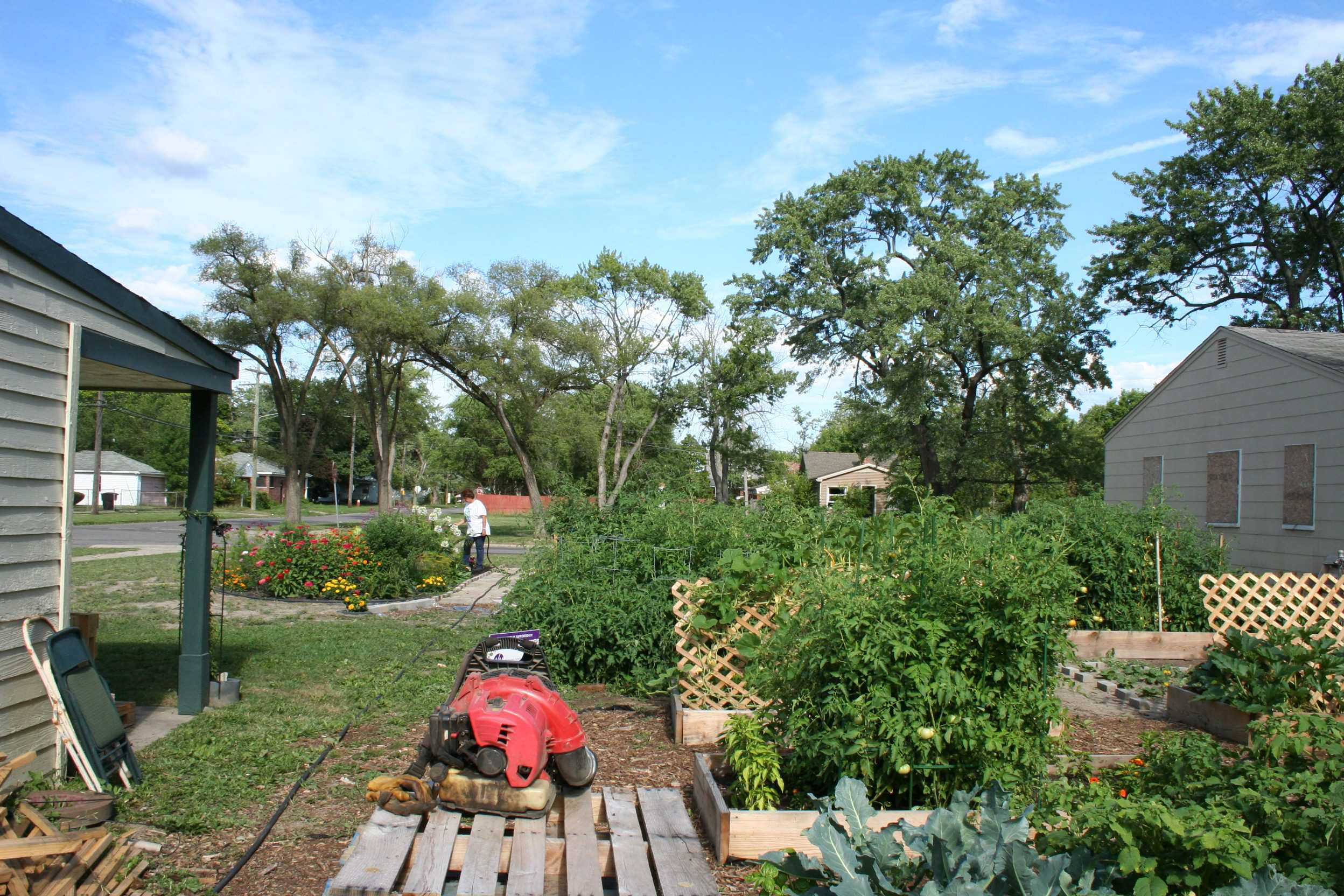 Green-Space-Contest-Winner