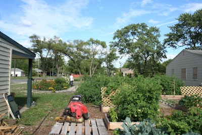 Photo: Project Evergreen