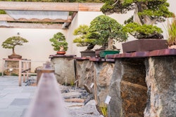 Japanese Pavilion photographs by Stephen Voss