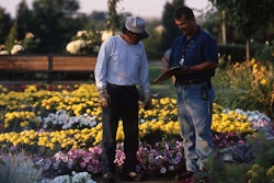 cocal-landscape-workers
