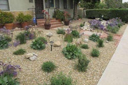 drought_tolerant_landscape